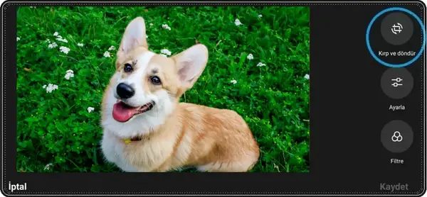 Yatay-fotografi-resmi-dikey-yapma-gorsel-anlatim-3