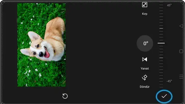 Yatay-fotografi-resmi-dikey-yapma-gorsel-anlatim-5