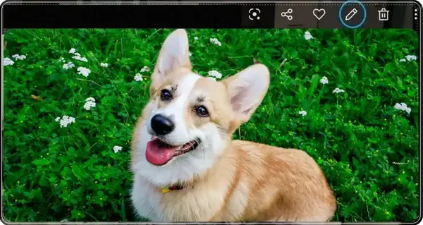 Yatay-fotografi-resmi-dikey-yapma-gorsel-anlatim-resim2